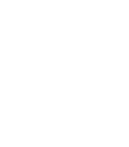 CSS